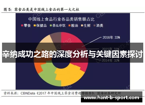 辛纳成功之路的深度分析与关键因素探讨